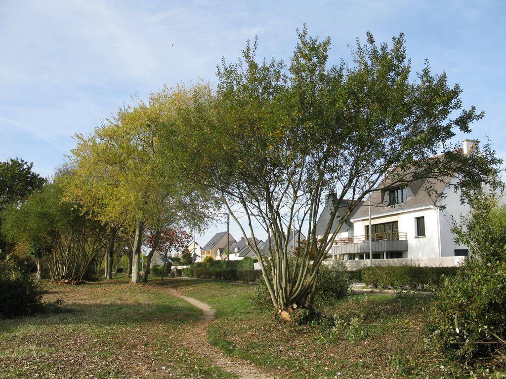 Villa Pecheur Damgan Luaran gambar